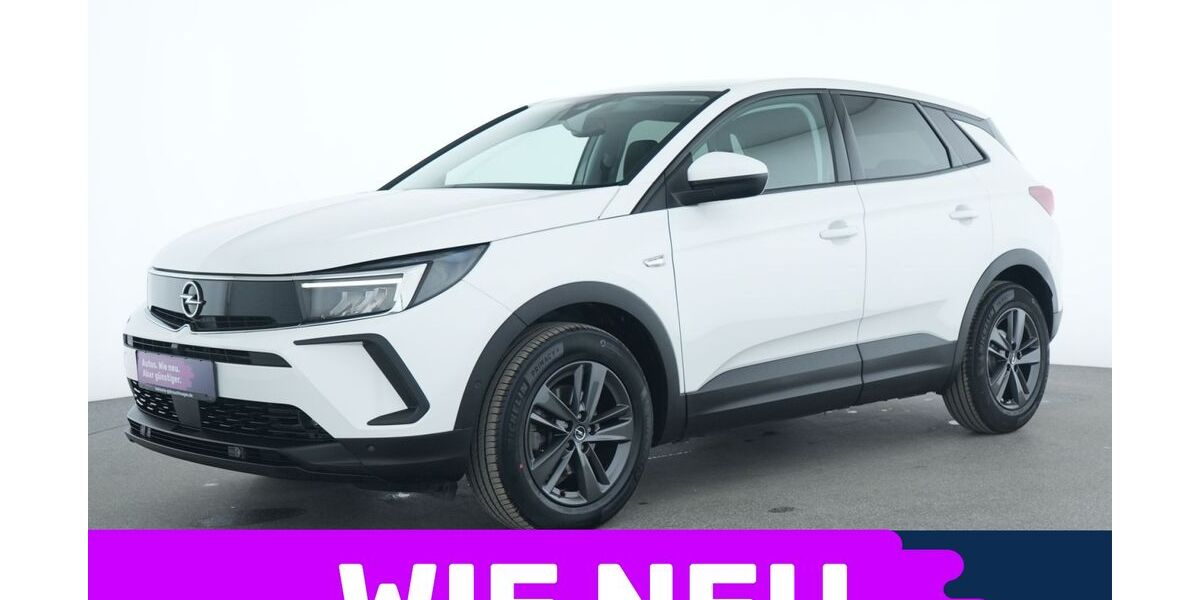 Opel Grandland (X) 32.114 km 18.845 &euro; Garching bei München 85748