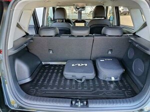 Kia E-SOUL INSPIRATION WP LED 17.000 km 28.990 &euro; Höhenkirchen-Siegertsbrun 85635