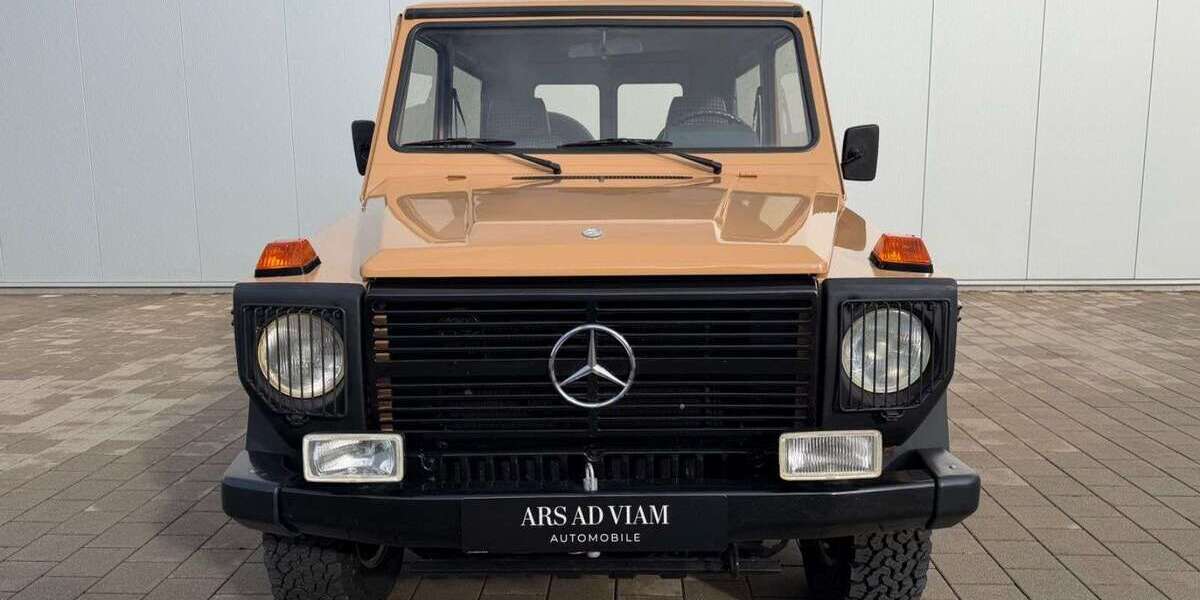 Mercedes-Benz G 300 23.747 km 38.480 &euro; Anzing bei München 85646
