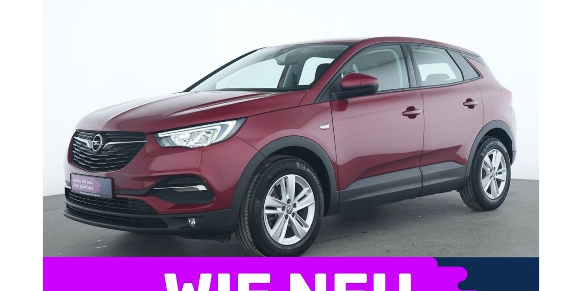 Opel Grandland (X) 29.875 km 18.695 &euro; Garching bei München 85748