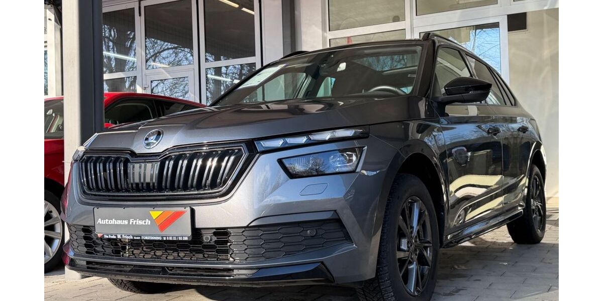 Skoda Kamiq 52.000 km 24.990 &euro; Forstinning bei München 85661