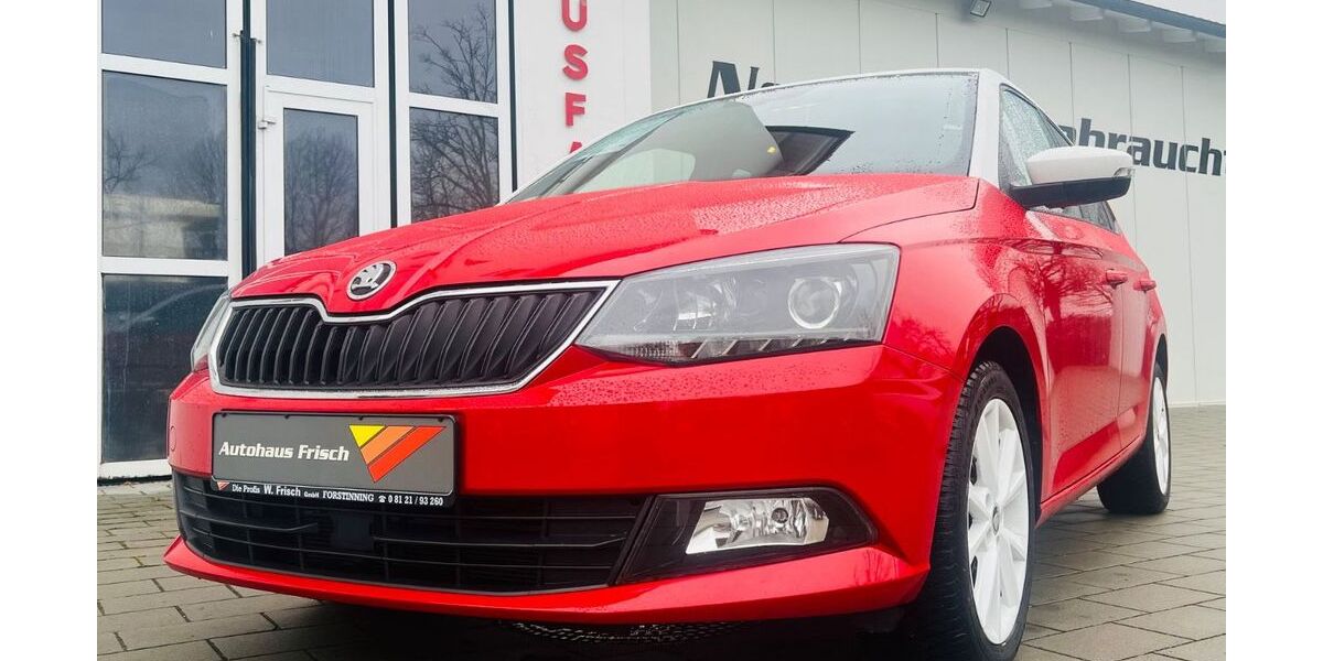 Skoda Fabia 19.800 km 12.590 &euro; Forstinning bei München 85661
