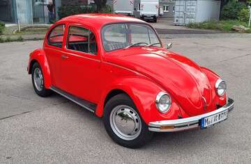 Gebrauchte VW Käfer