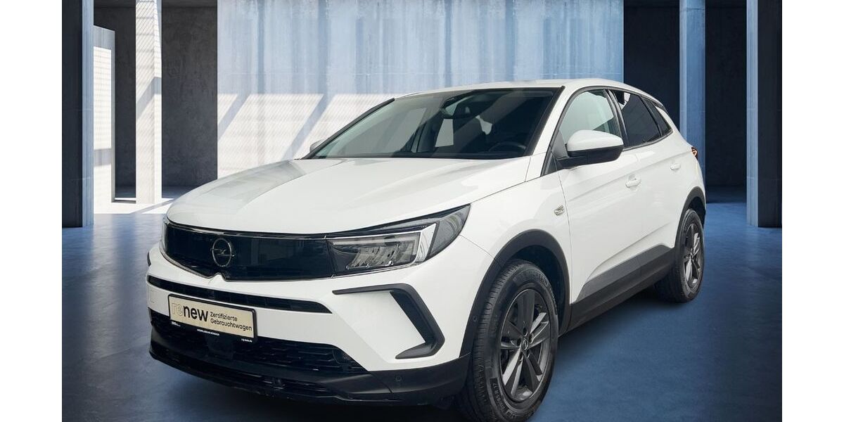 Opel Grandland (X) 61.412 km 18.990 &euro; Unterschleißheim 85716