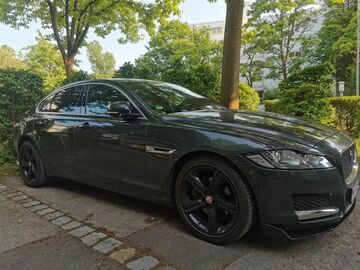 Gebrauchte Jaguar XF