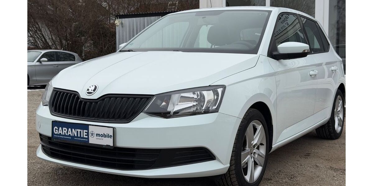 Skoda Fabia 23.800 km 9.490 &euro; Hofolding 85649