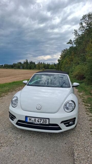 Gebrauchte VW Beetle