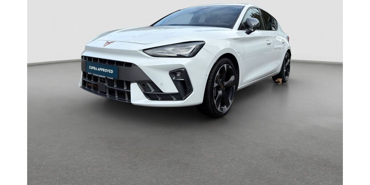 Cupra Leon 15.800 km 32.900 &euro; Ebersberg bei München 85560