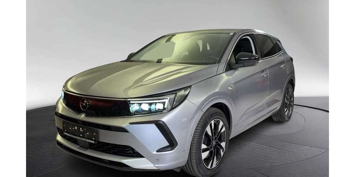 Opel Grandland X 19.800 km 23.890 &euro; München 80339