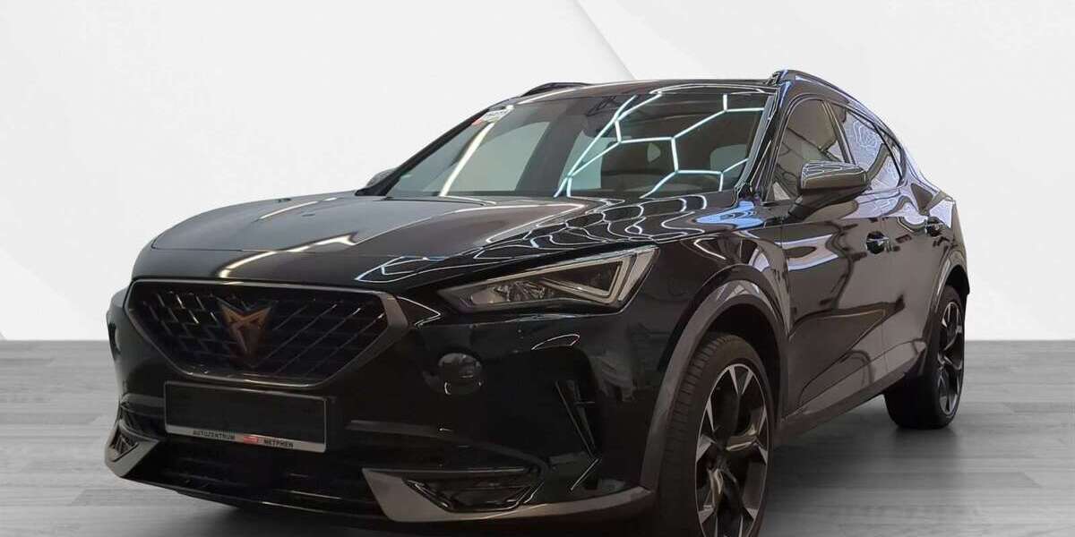 Cupra Formentor 40.200 km 24.500 &euro; Grünwald 82031