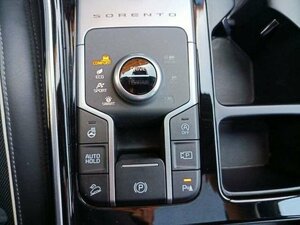 Kia SORENTO 2.2D AWD DCT8 PLAT NAPPA GD|AHK 62.080 km 36.460 &euro; Höhenkirchen-Siegertsbrun 85635